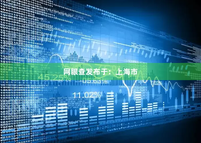 网眼查发布于：上海市