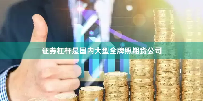证券杠杆是国内大型全牌照期货公司