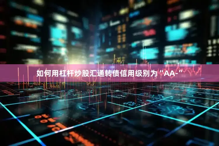 如何用杠杆炒股汇通转债信用级别为“AA-”