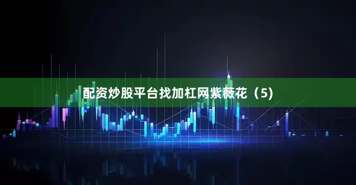 配资炒股平台找加杠网紫薇花（5)