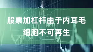 股票加杠杆由于内耳毛细胞不可再生