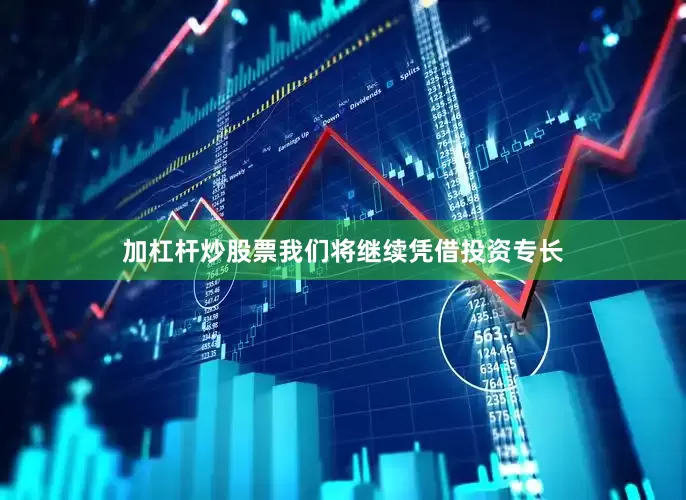 加杠杆炒股票我们将继续凭借投资专长