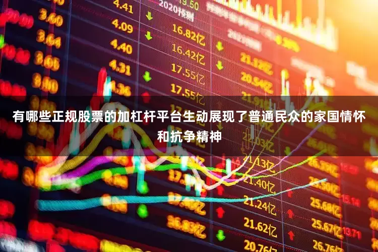 有哪些正规股票的加杠杆平台生动展现了普通民众的家国情怀和抗争精神
